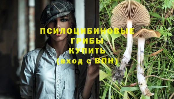 ALPHA-PVP Горняк
