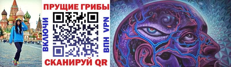 Купить закладки  Печоры  Псилоцибиновые грибы мицелий 